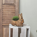 Hase mit Ostergras