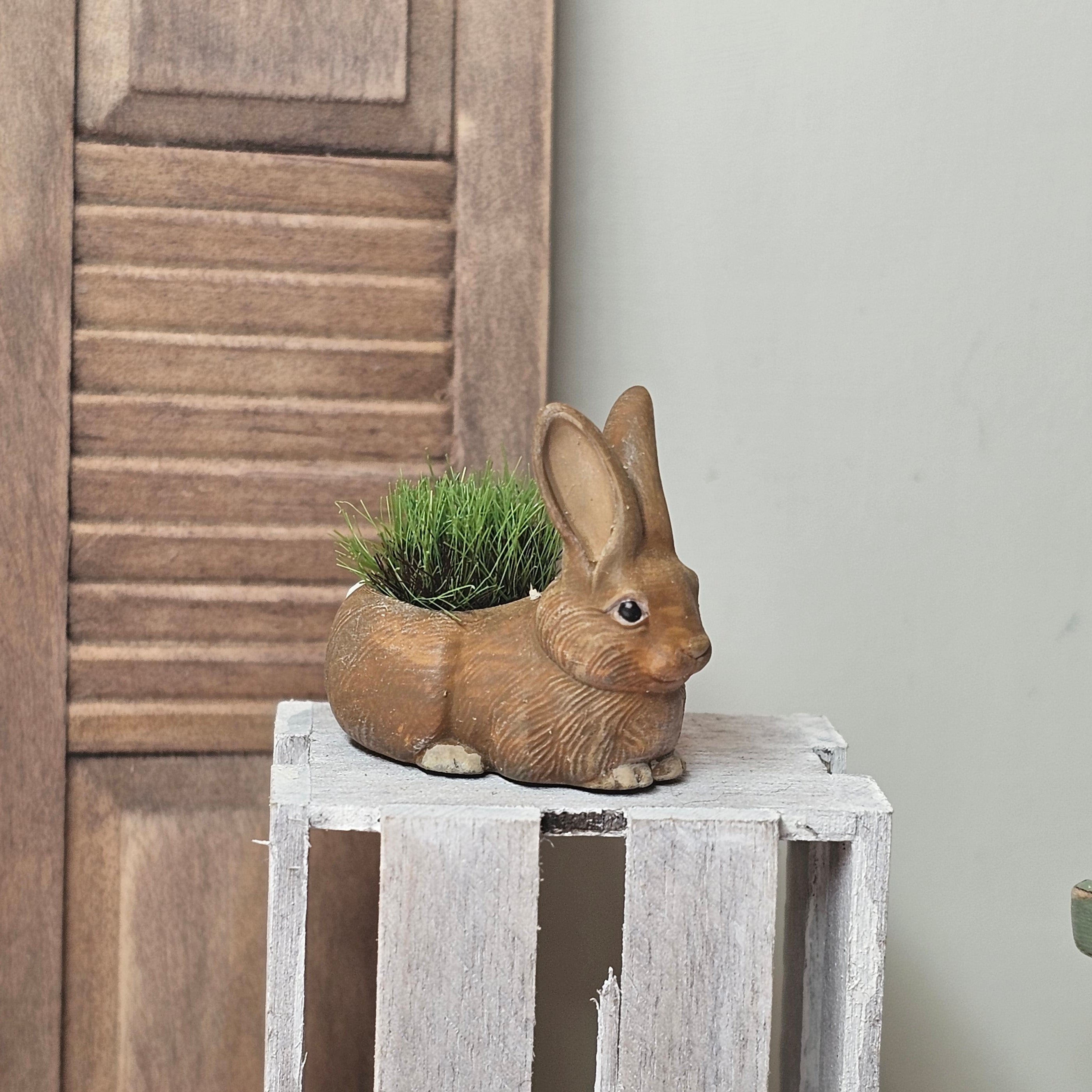 Hase mit Ostergras