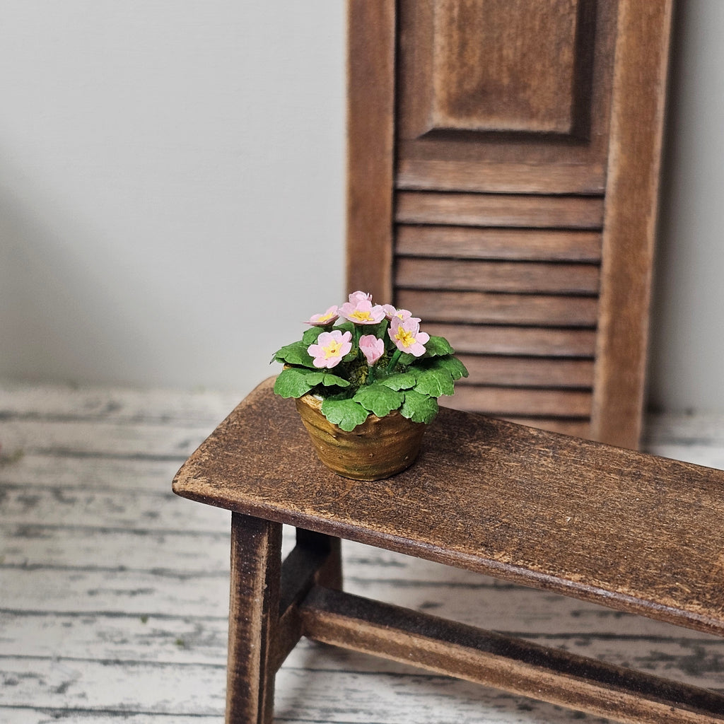 Topf mit Primeln rosa