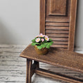 Topf mit Primeln rosa